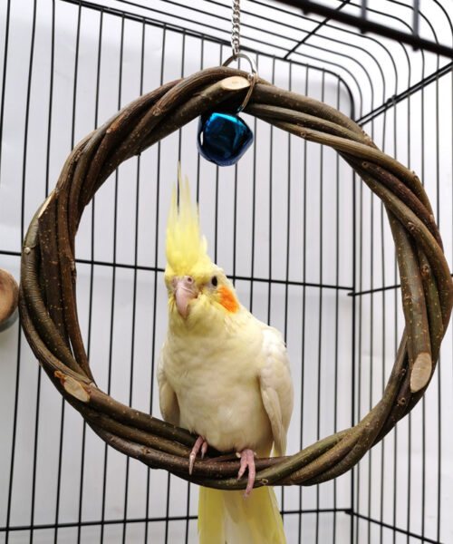 Vogel-Standrahmen