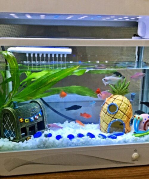 Ananashaus für Aquarium