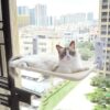 Katze Saugnapf Fenster Glas Hängematte Haustier Katze