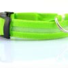 Nylon LED Haustier Hund leuchtendes Halsband Nacht Sicherheit blinkend