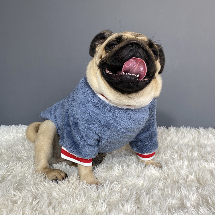 Haustierpullover