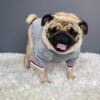 Haustierpullover