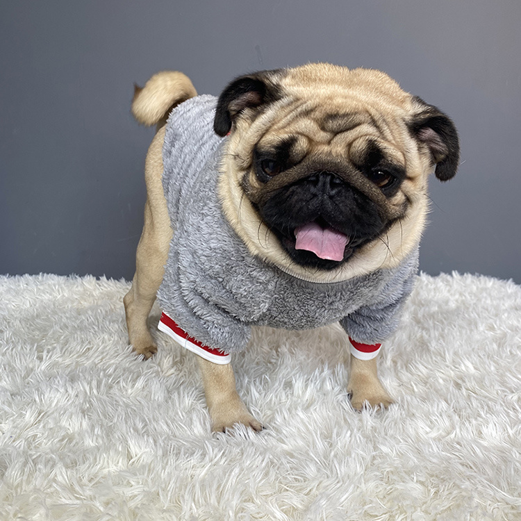 Haustierpullover