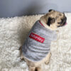 Haustierpullover