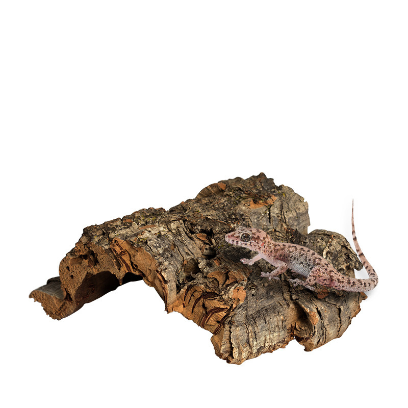 Reptilien-Terrarium-Landschaftsdekoration