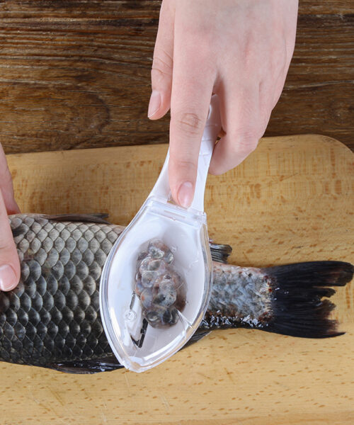 Fischhautbürste zum Schaben von Fischschuppen