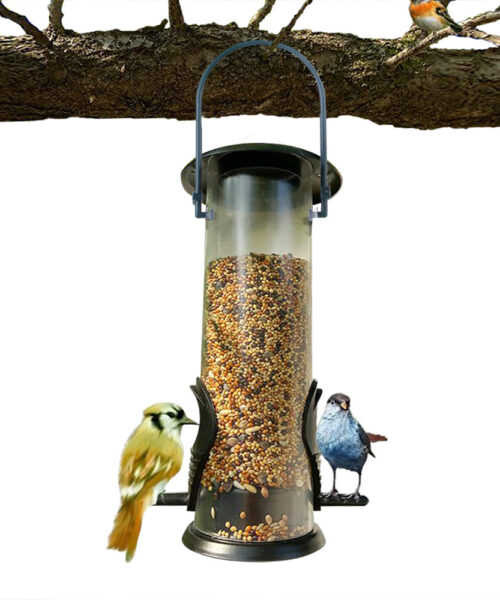 Haustier-Vogel-Futterstation