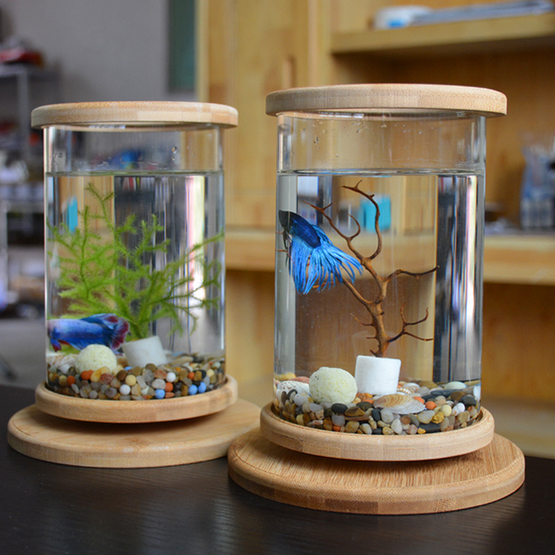 Kleines Büroglas-Aquarium mit Bambussockel