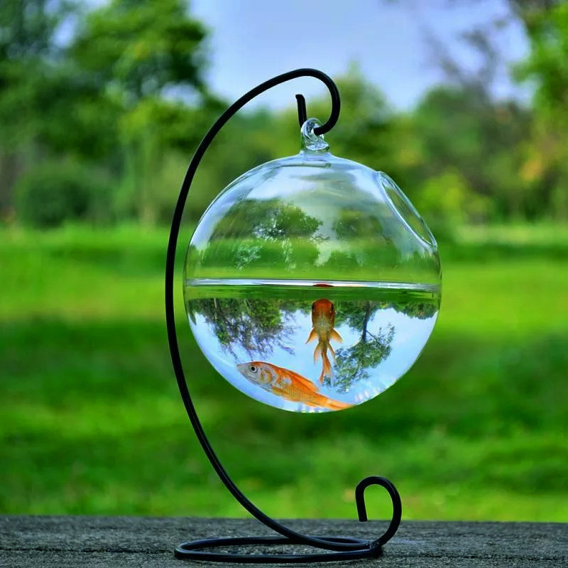 Hängendes Glasvase-Aquarium