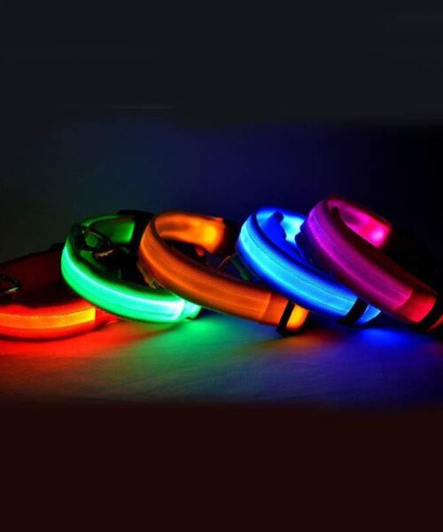 Nylon LED Haustier Hund leuchtendes Halsband Nacht Sicherheit blinkend