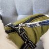 Wasserdichte Hundekleidung Winter-Hundemantel mit Geschirr