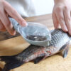 Fischhautbürste zum Schaben von Fischschuppen