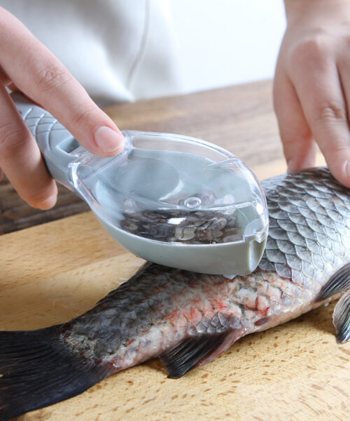 Fischhautbürste zum Schaben von Fischschuppen