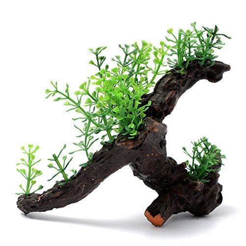 Aquarium dekorative Holzpflanze Wasservegetation