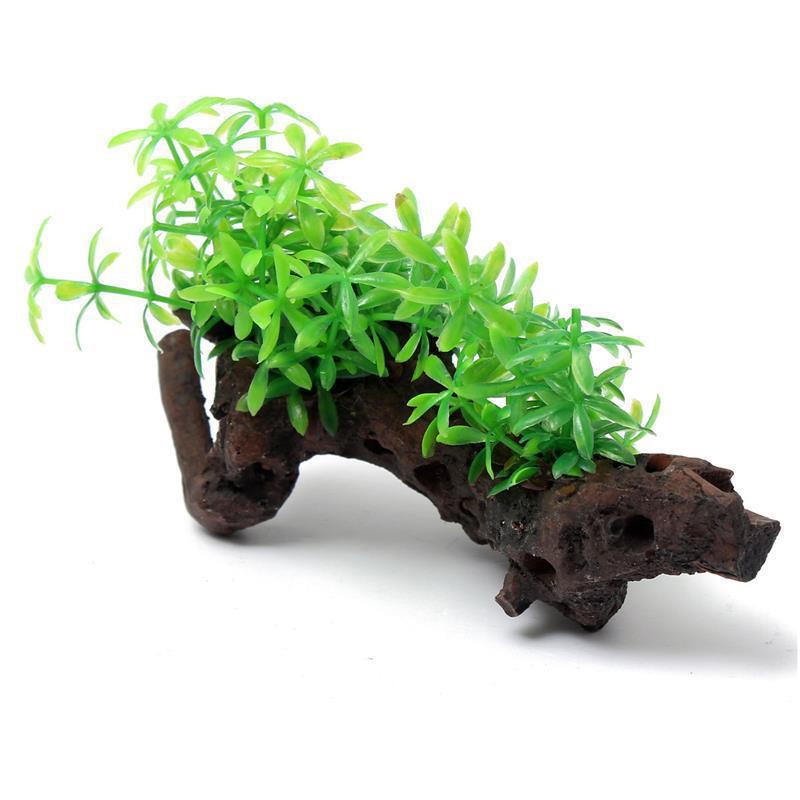 Aquarium dekorative Holzpflanze Wasservegetation