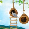 Natürliches Vogelnest aus Kokosnussschale