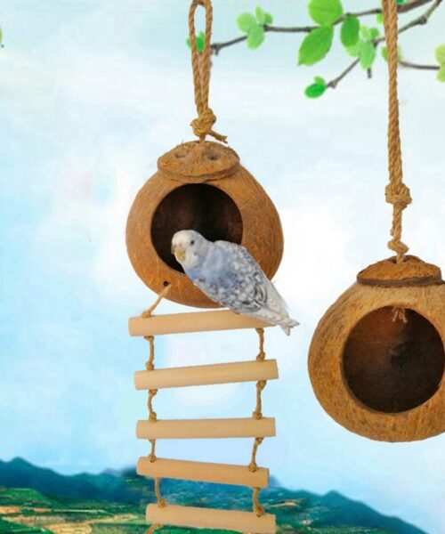 Natürliches Vogelnest aus Kokosnussschale