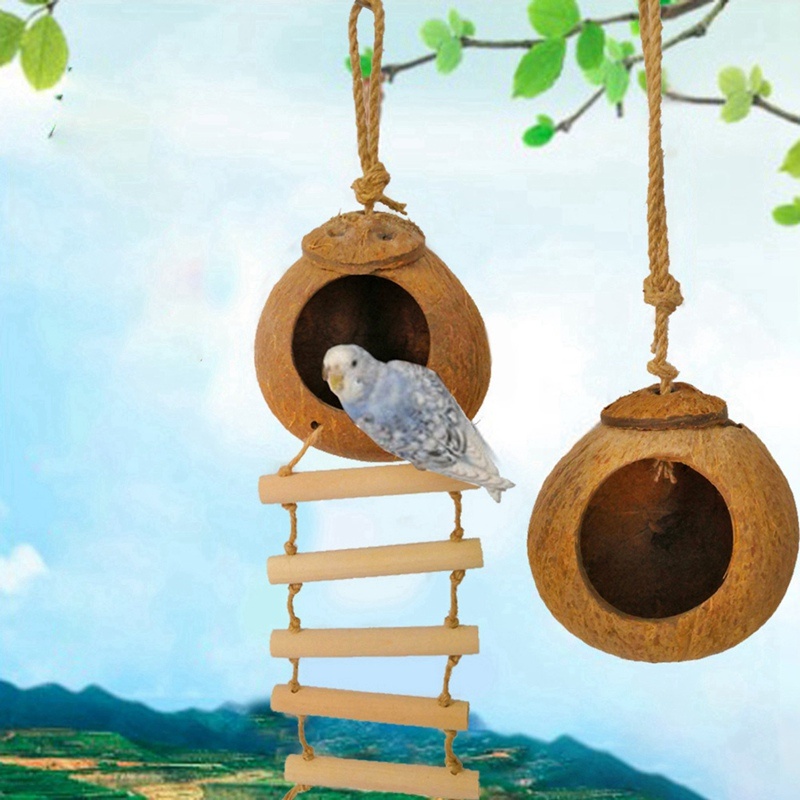 Natürliches Vogelnest aus Kokosnussschale