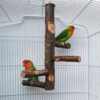 Papagei-Vogel-Holz-Ständer-Pole-Spielzeug