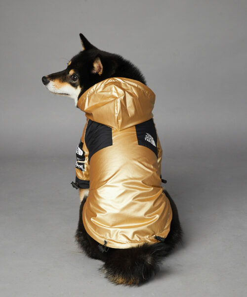 Hunde-Regenmantel für große Hunde