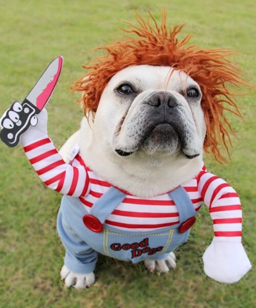 Halloween Haustierkostüm Hund Lustige Kleidung verstellbar