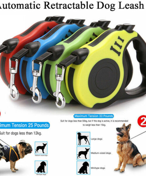 Automatisch einziehbares Hundehalsband