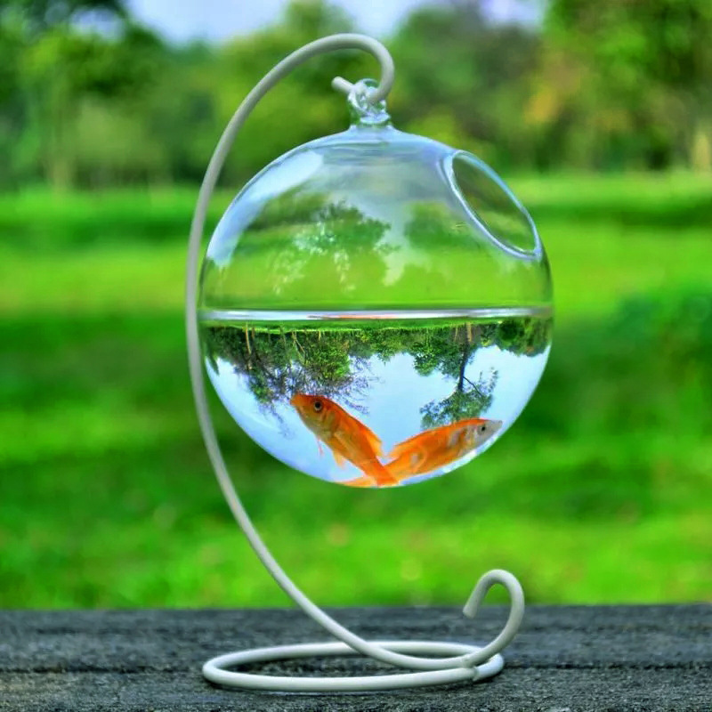Hängendes Glasvase-Aquarium