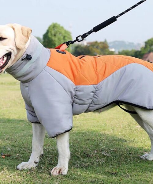 Neuer Winter-Hundemantel