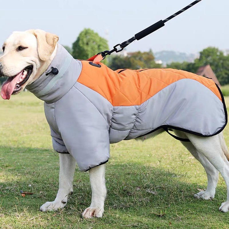 Neuer Winter-Hundemantel