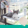 Katze Saugnapf Fenster Glas Hängematte Haustier Katze