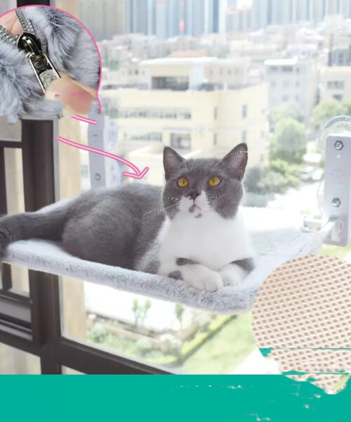 Katze Saugnapf Fenster Glas Hängematte Haustier Katze