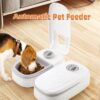 Automatischer Futterspender für Haustiere
