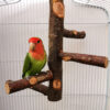 Papagei-Vogel-Holz-Ständer-Pole-Spielzeug