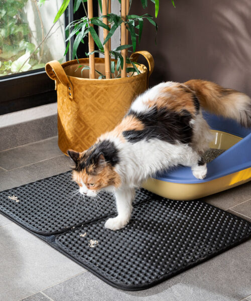 Katzentoilettenmatte Clikatt InnovaGoods