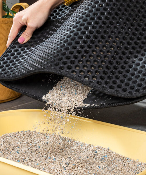 Katzentoilettenmatte Clikatt InnovaGoods