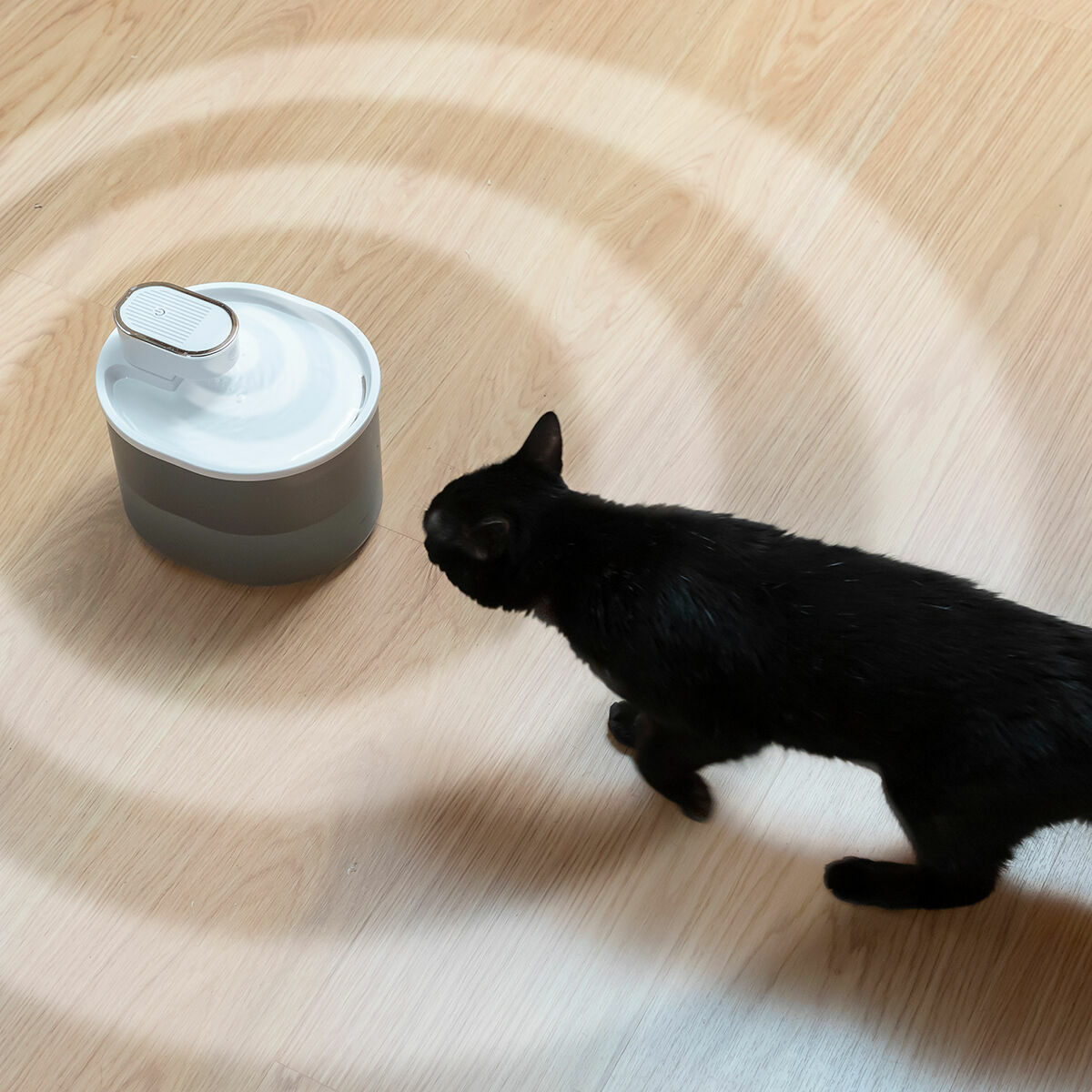 Wiederaufladbarer Katzenwasserbrunnen mit Sensor Refopet InnovaGoods