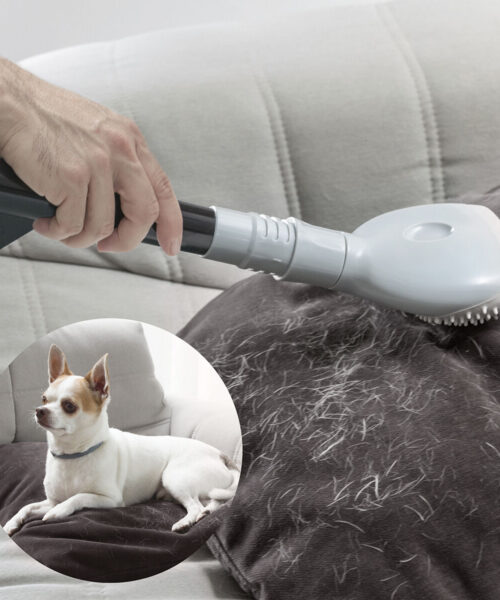 Staubsaugerbürste Smoovah InnovaGoods