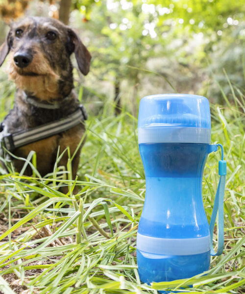 2-in-1-Flasche mit Wasser- und Futterbehältern für Haustiere Pettap InnovaGoods