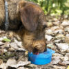 2-in-1-Flasche mit Wasser- und Futterbehältern für Haustiere Pettap InnovaGoods