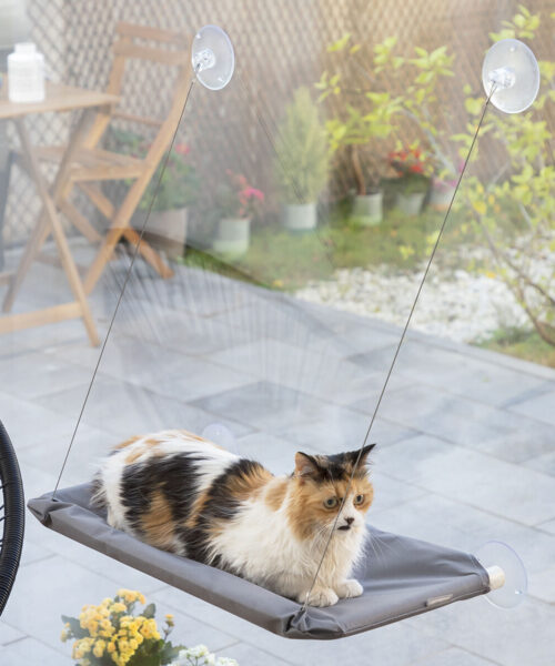 Hängende Katzenhängematte Catlax InnovaGoods