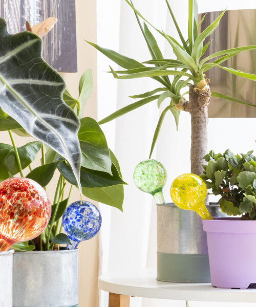Automatische Bewässerungskugeln Ballwooters InnovaGoods 4 Einheiten