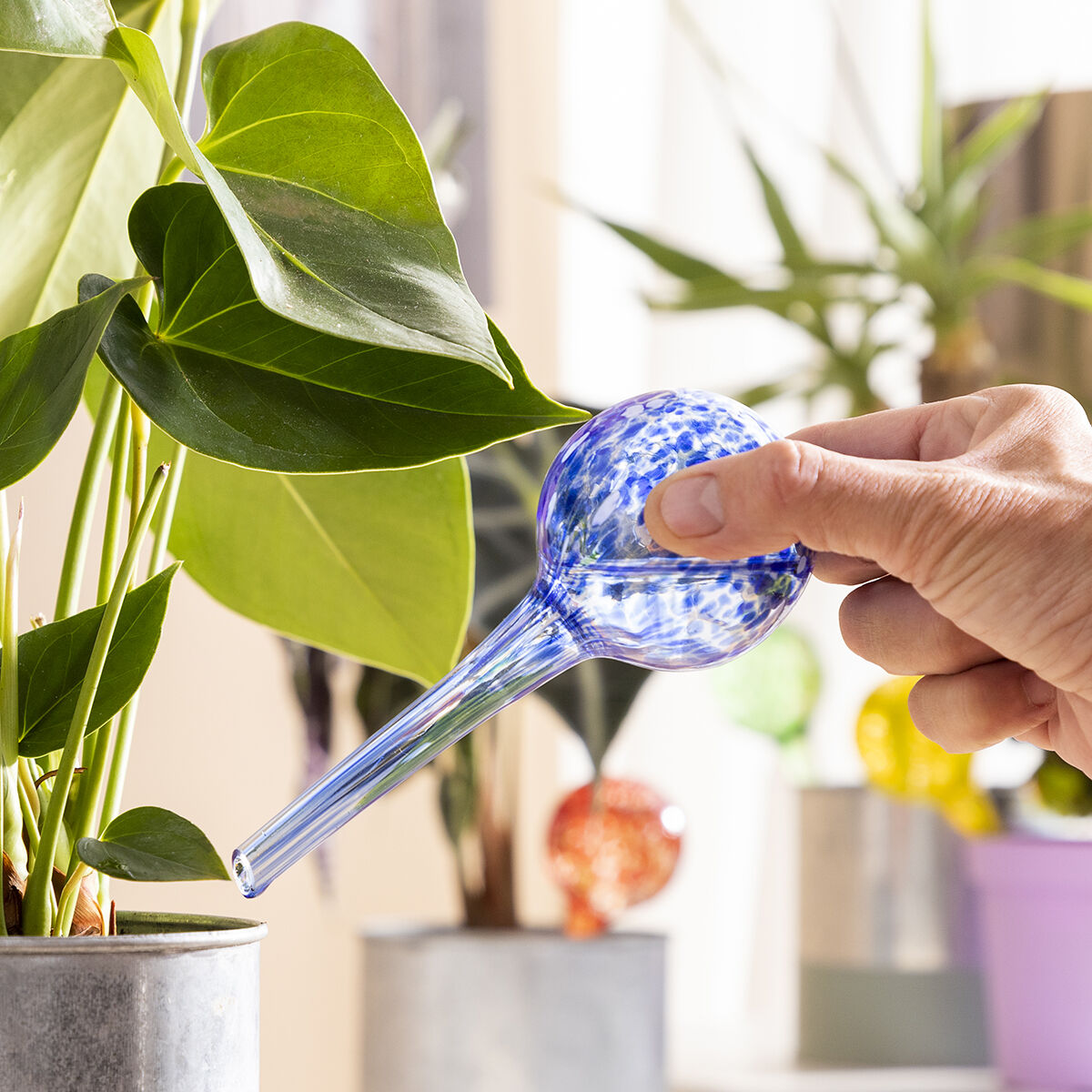 Automatische Bewässerungskugeln Ballwooters InnovaGoods 4 Einheiten