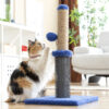 Kratz- und Massagebaum für Katzen mit Ball Miausage InnovaGoods