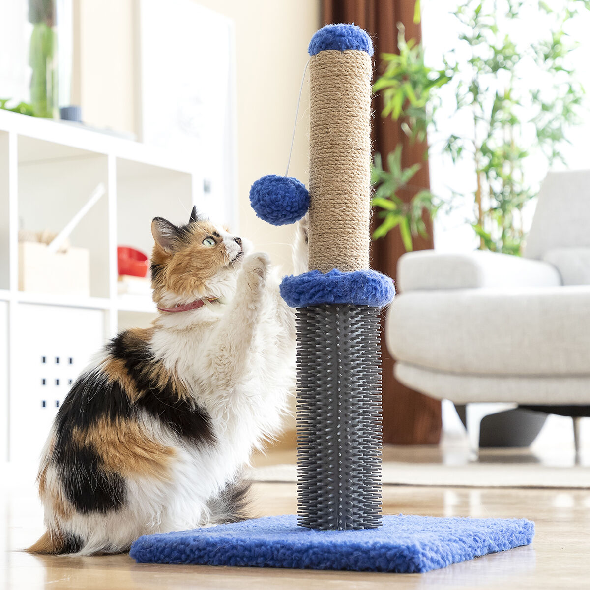 Kratz- und Massagebaum für Katzen mit Ball Miausage InnovaGoods