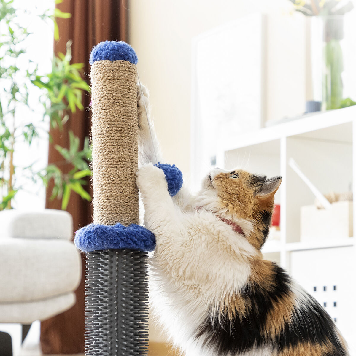 Kratz- und Massagebaum für Katzen mit Ball Miausage InnovaGoods